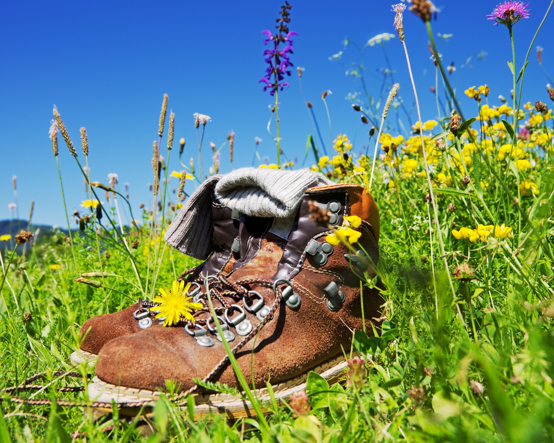 Wanderschuhe stehen auf der Wiese Wanderschuhe auf der Wiese